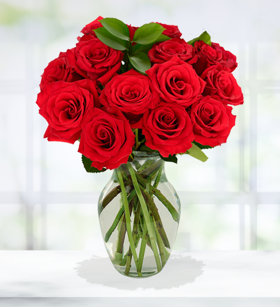 https://cdn.avasflowers.net/img/prod_img/avasflowers-dozen-long-stemmed-roses--11431.png